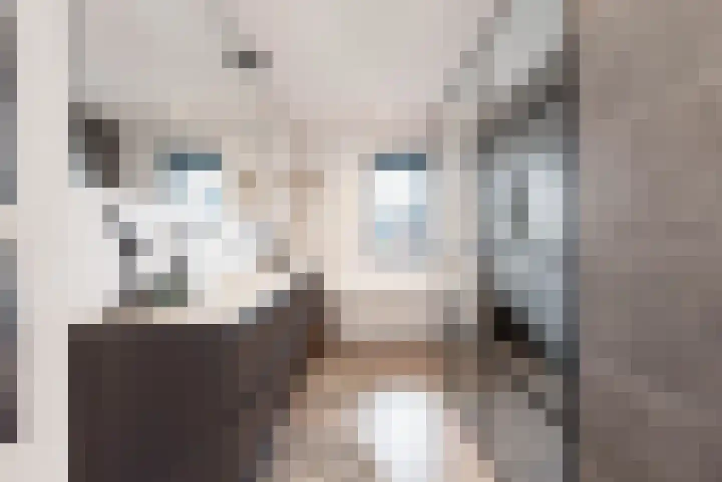 Baak van Tholen 5 Amersfoort thumbnail 33