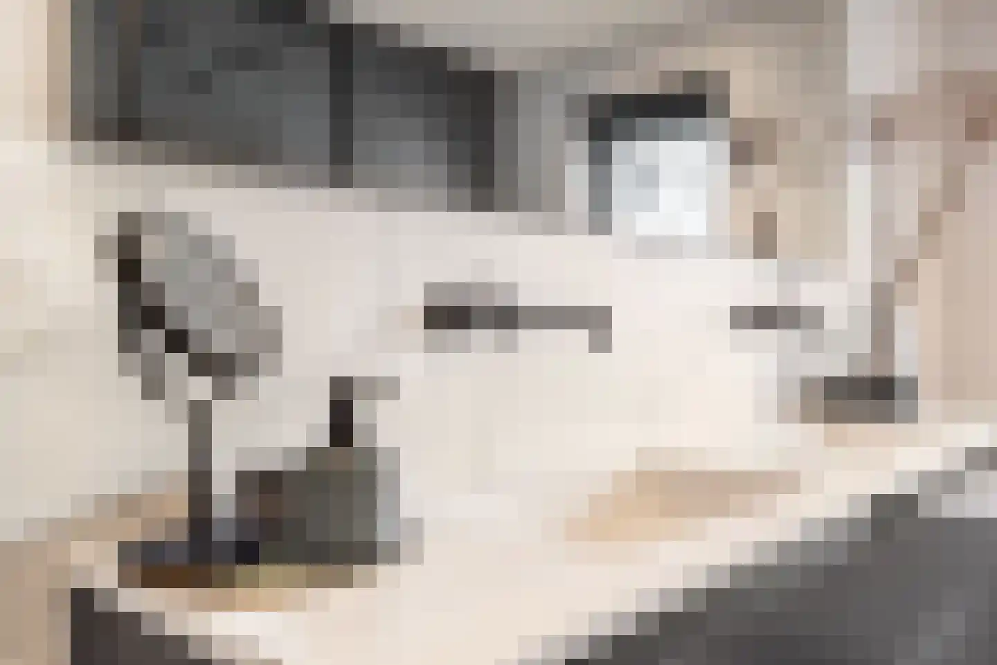 Baak van Tholen 5 Amersfoort thumbnail 34