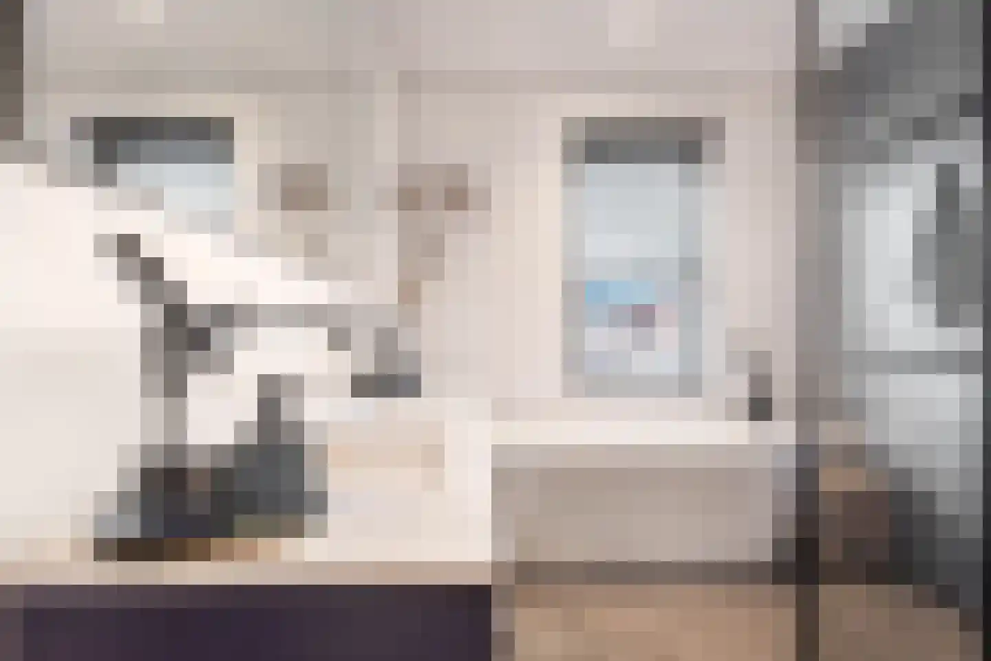 Baak van Tholen 5 Amersfoort thumbnail 35
