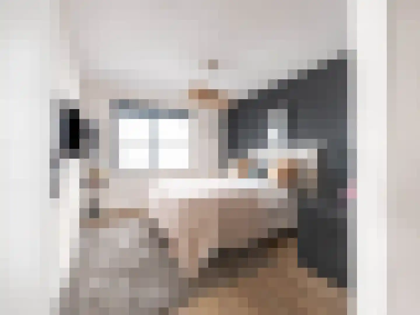 Baak van Tholen 5 Amersfoort thumbnail 39