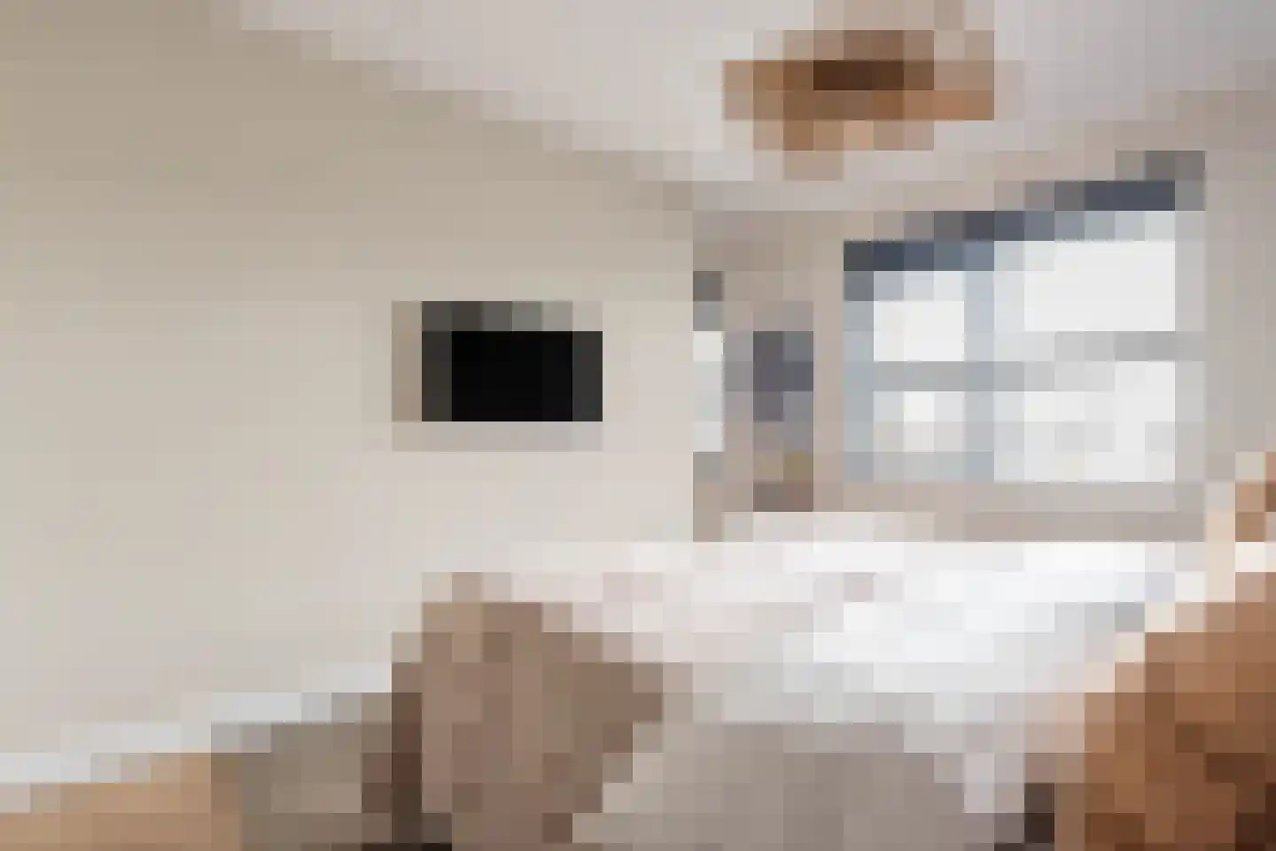 Baak van Tholen 5 Amersfoort thumbnail 43