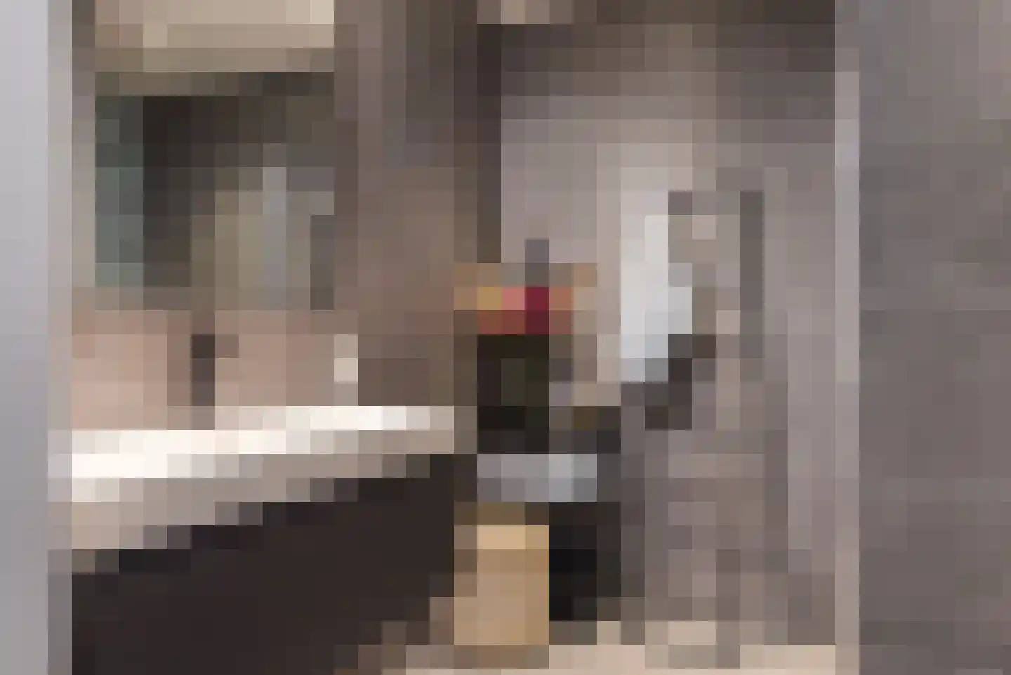 Baak van Tholen 5 Amersfoort thumbnail 49