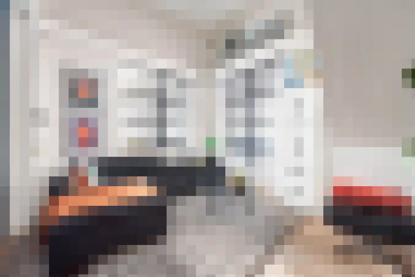 Baak van Tholen 5 Amersfoort thumbnail 51