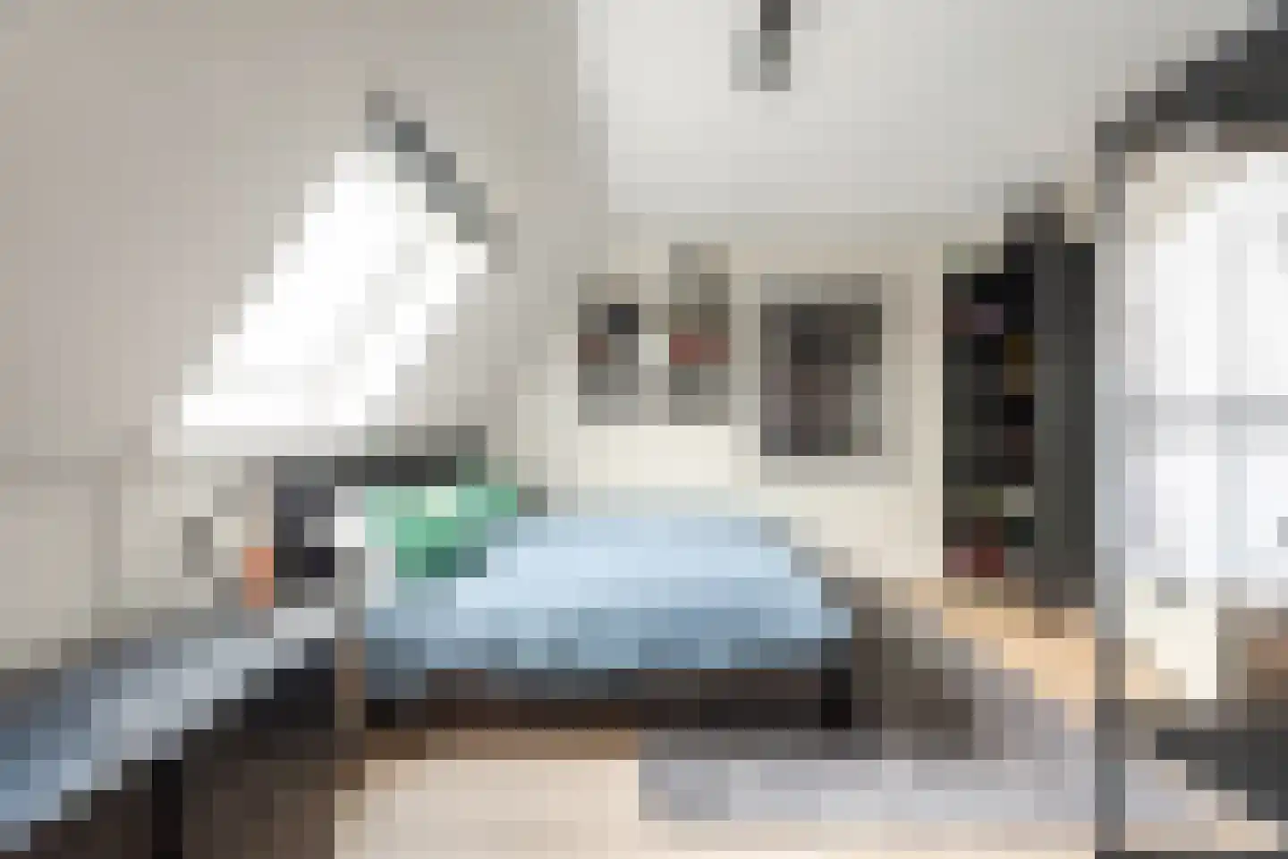 Baak van Tholen 5 Amersfoort thumbnail 57