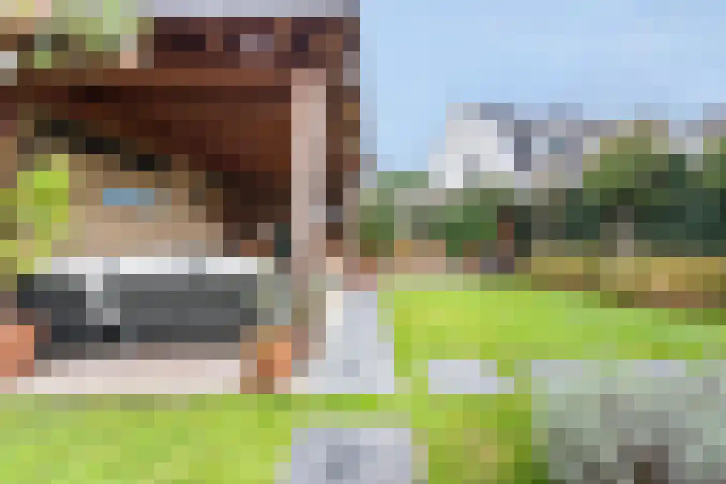 Baak van Tholen 5 Amersfoort thumbnail 61