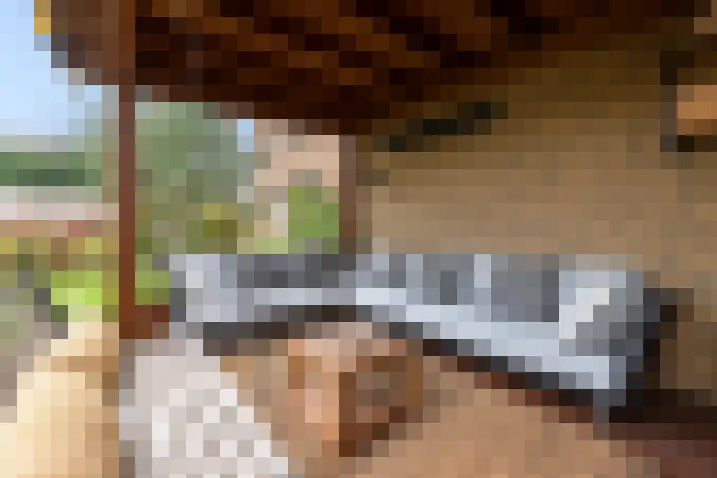 Baak van Tholen 5 Amersfoort thumbnail 62