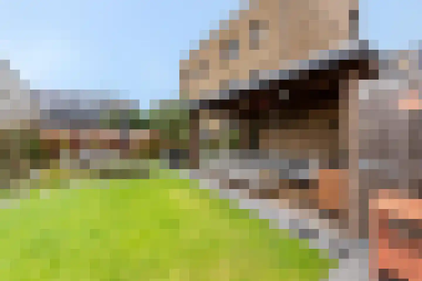 Baak van Tholen 5 Amersfoort thumbnail 65
