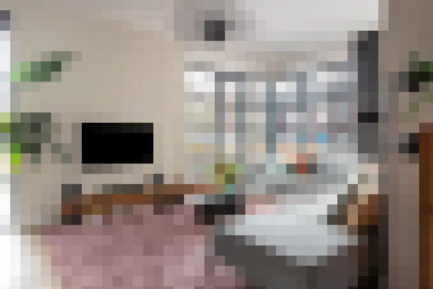 Baak van Tholen 5 Amersfoort thumbnail 9