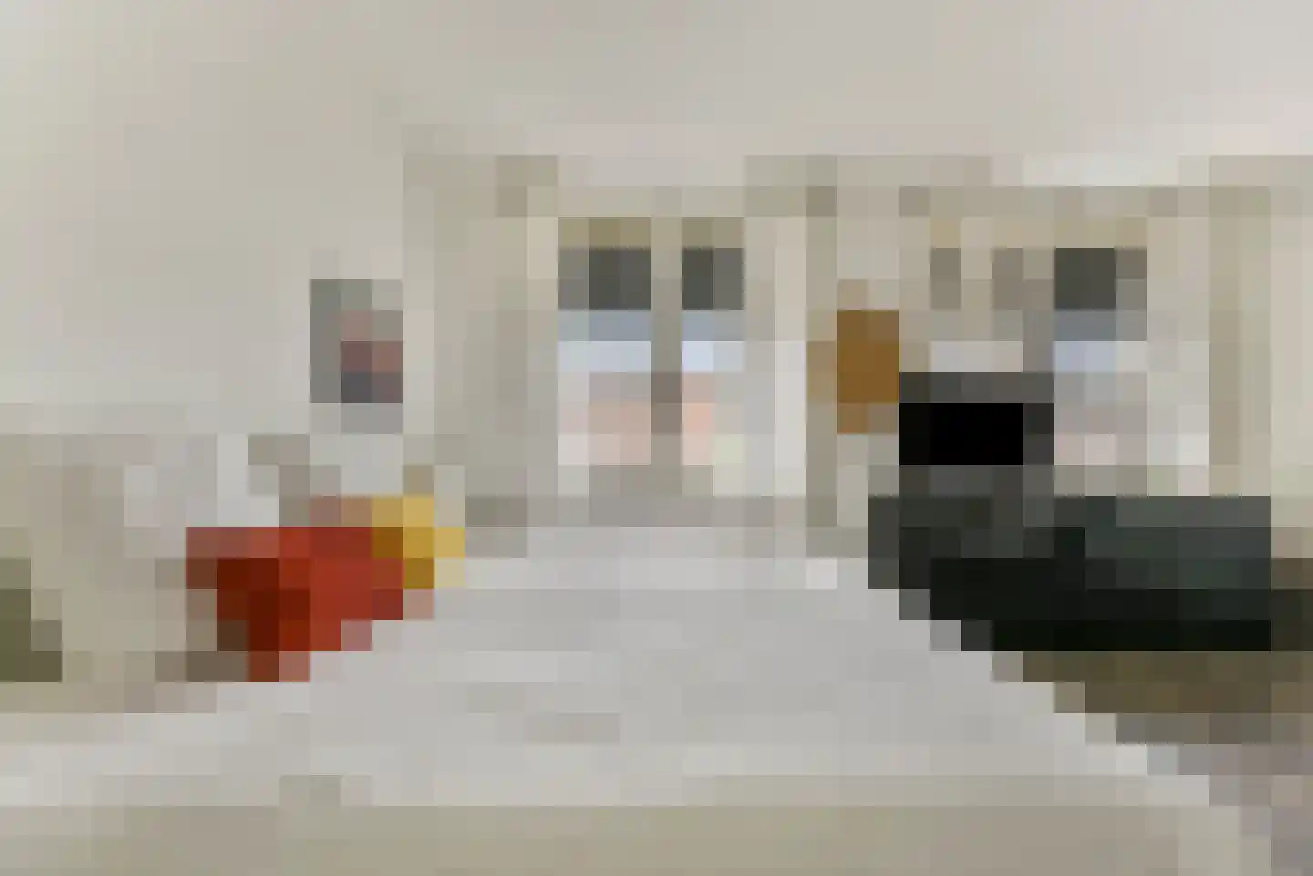 Baak van Vlissingen 4 Amersfoort thumbnail 23
