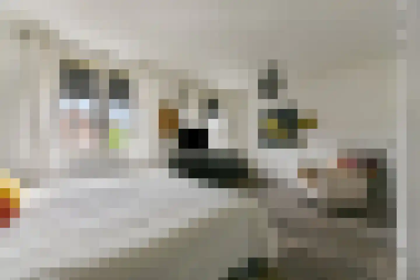 Baak van Vlissingen 4 Amersfoort thumbnail 24