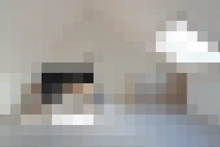 Baak van Vlissingen 9 Amersfoort thumbnail 28
