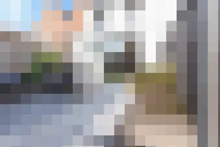 Baak van Vlissingen 9 Amersfoort thumbnail 29