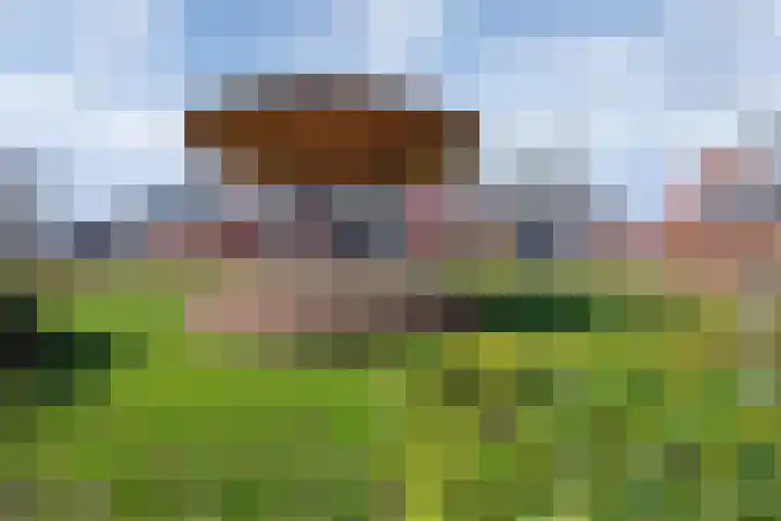 Baak van Vlissingen 9 Amersfoort thumbnail 31