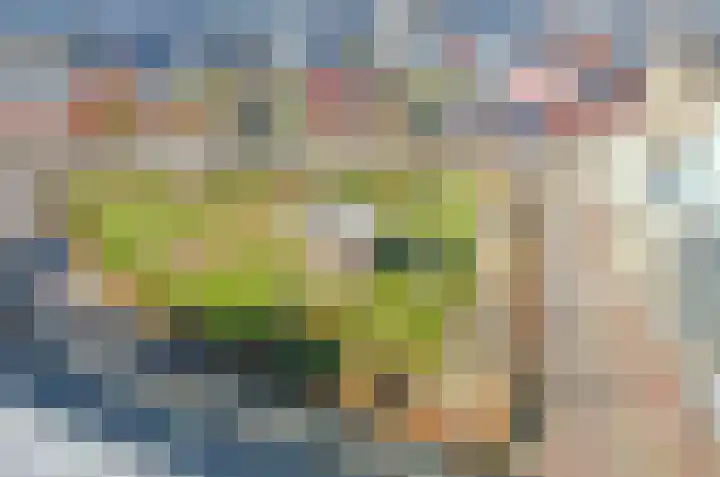 Baak van Vlissingen 9 Amersfoort thumbnail 33