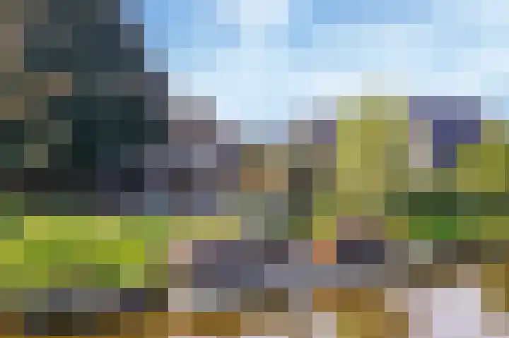 Baak van Vlissingen 9 Amersfoort thumbnail 35