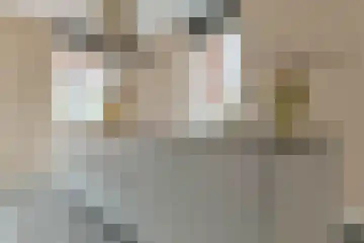 Baak van Westkapelle 1 Amersfoort thumbnail 16
