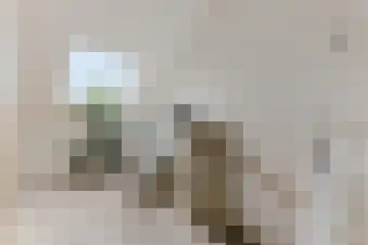 Baak van Westkapelle 1 Amersfoort thumbnail 32
