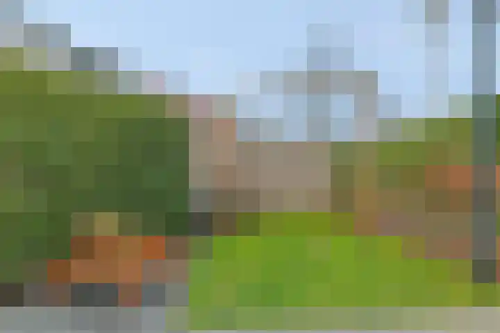 Baak van Westkapelle 1 Amersfoort thumbnail 37