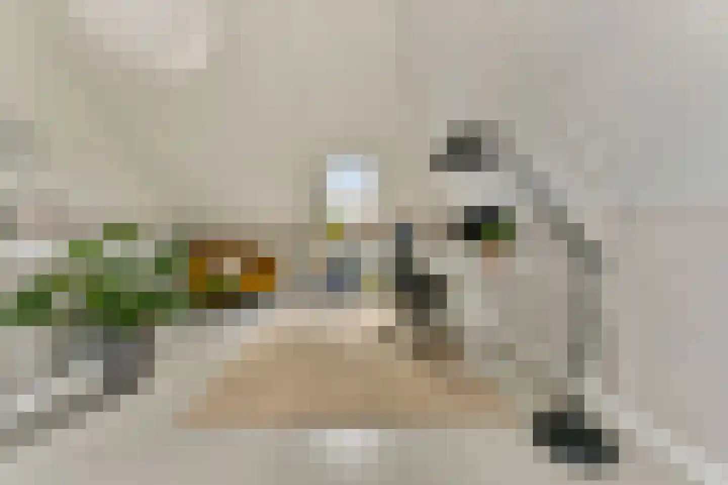 Baak van Westkapelle 12 Amersfoort thumbnail 31