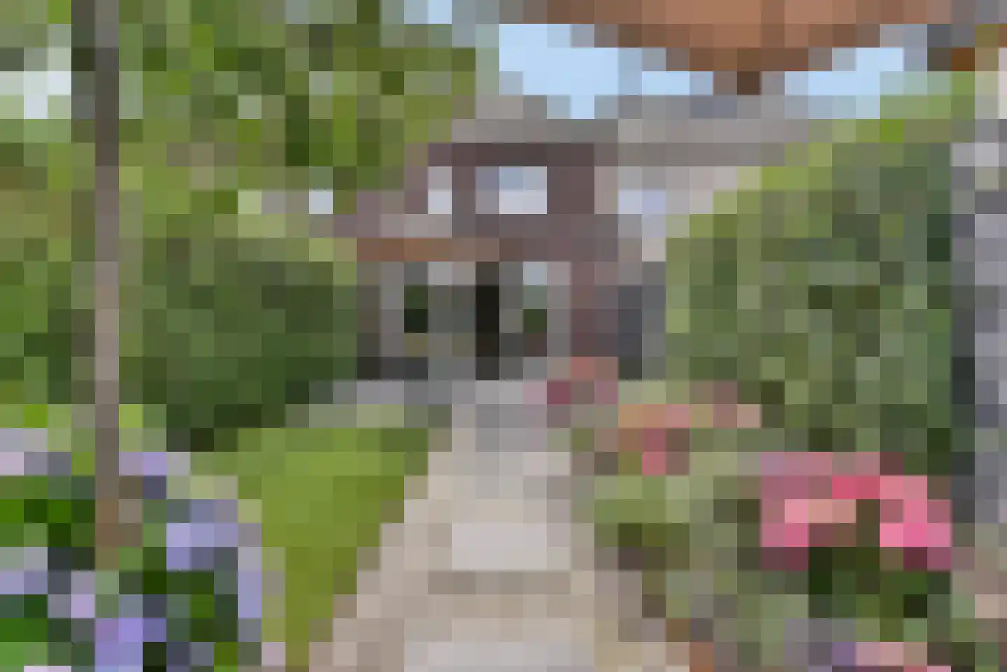 Baak van Westkapelle 12 Amersfoort thumbnail 35