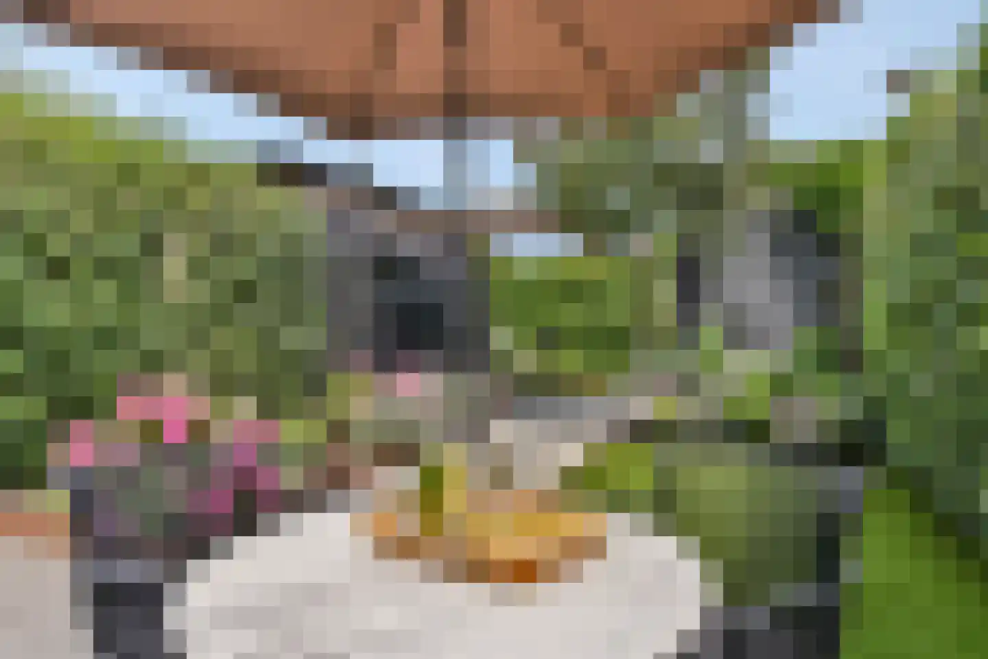 Baak van Westkapelle 12 Amersfoort thumbnail 4