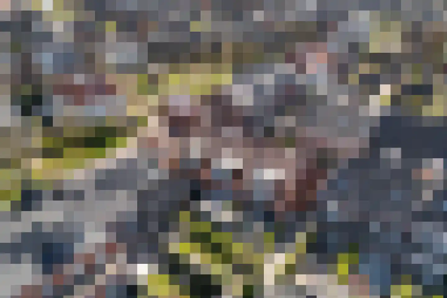Baak van Westkapelle 6 Amersfoort thumbnail 40