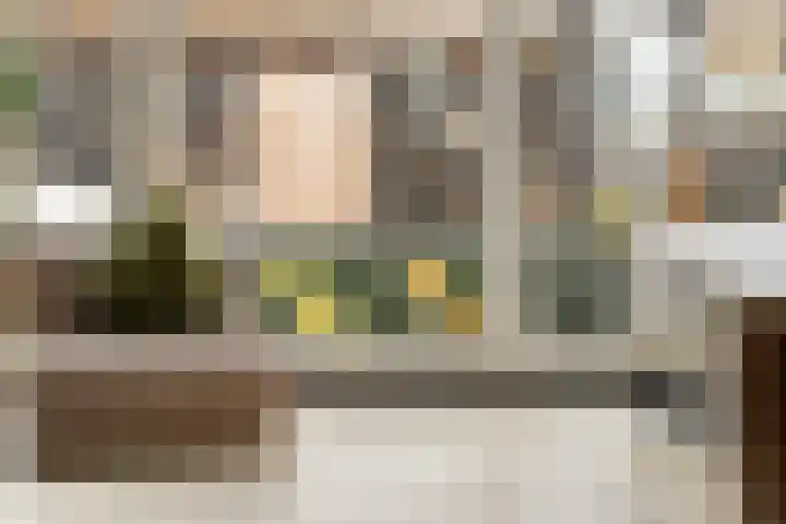 Baak van Zierikzee 18 Amersfoort thumbnail 14