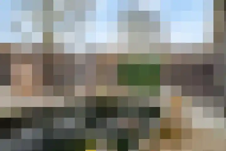 Baak van Zierikzee 18 Amersfoort thumbnail 16