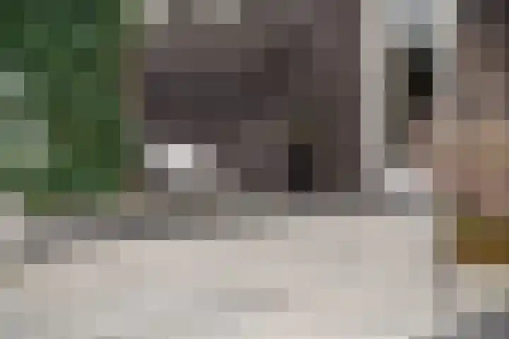 Baak van Zierikzee 18 Amersfoort thumbnail 17