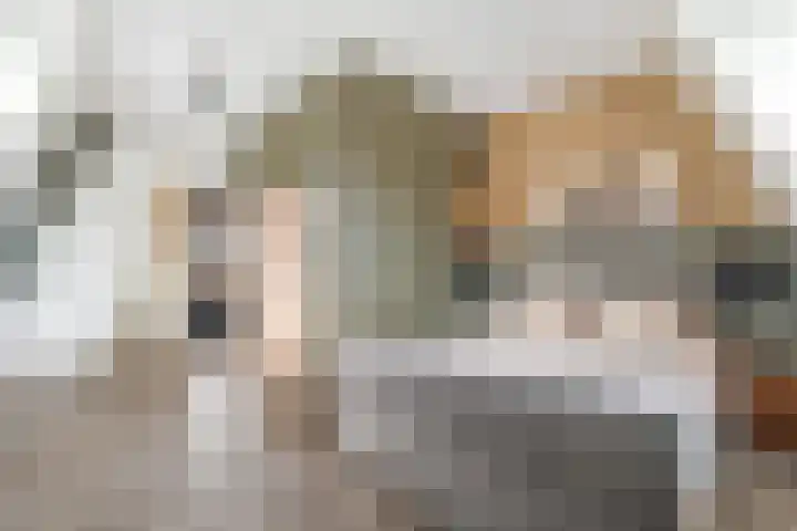 Baak van Zierikzee 18 Amersfoort thumbnail 31