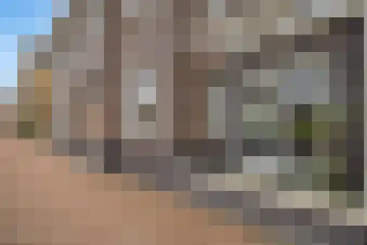 Baak van Zierikzee 18 Amersfoort thumbnail 32