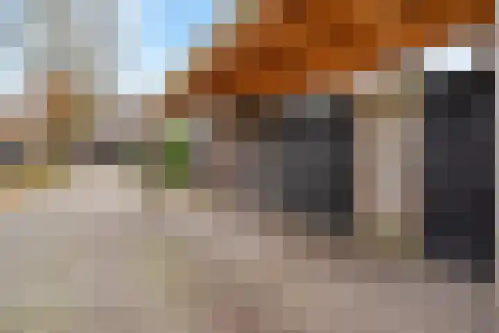 Baak van Zierikzee 18 Amersfoort thumbnail 33