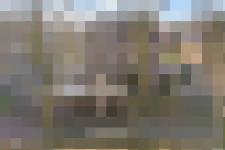 Baak van Zierikzee 18 Amersfoort thumbnail 34