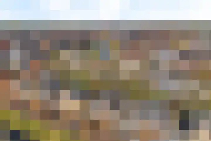 Baak van Zierikzee 18 Amersfoort thumbnail 36