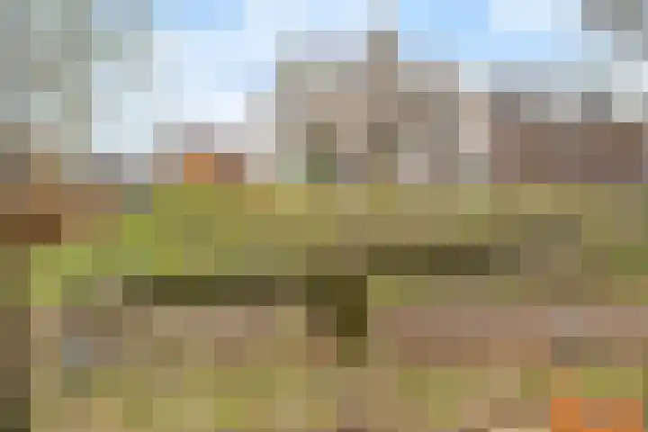 Baak van Zierikzee 18 Amersfoort thumbnail 38