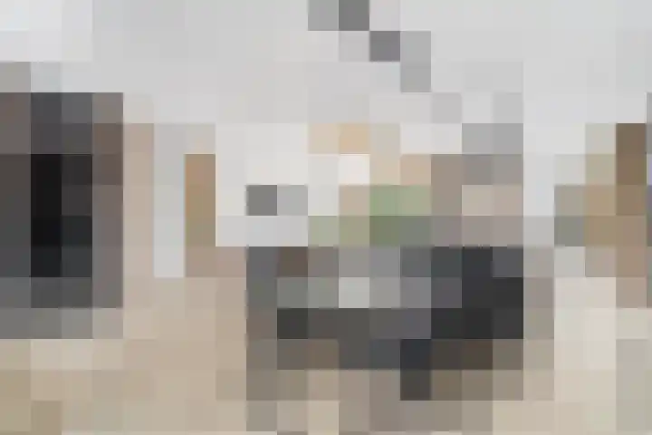 Baak van Zierikzee 18 Amersfoort thumbnail 7