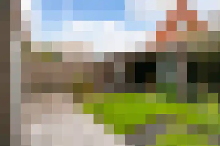 Baak van Zierikzee 48 Amersfoort thumbnail 29