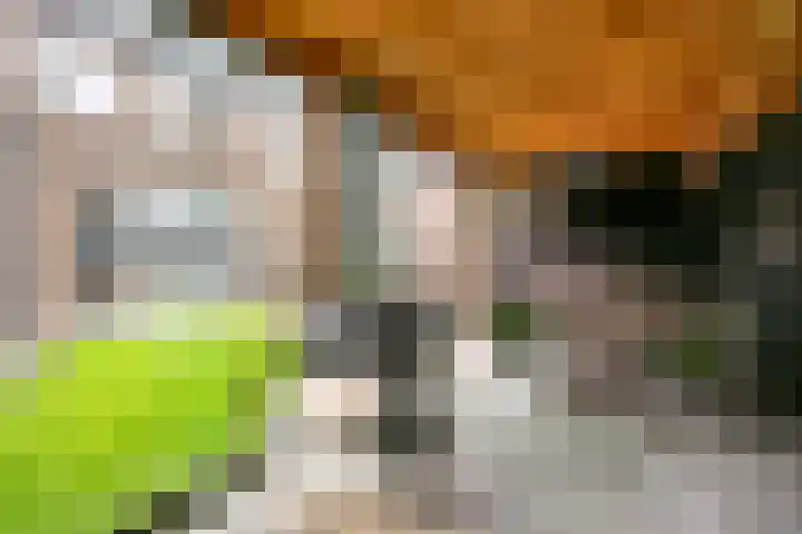 Baak van Zierikzee 48 Amersfoort thumbnail 32