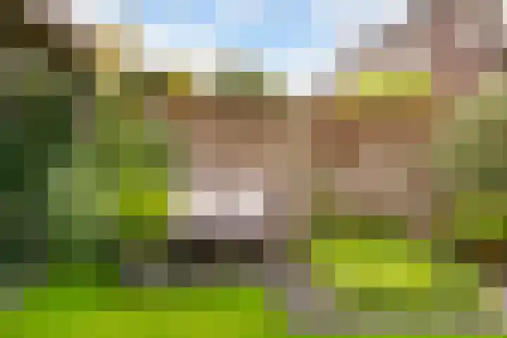 Baak van Zierikzee 48 Amersfoort thumbnail 33