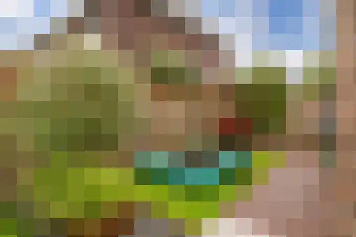 Baak van Zierikzee 48 Amersfoort thumbnail 36
