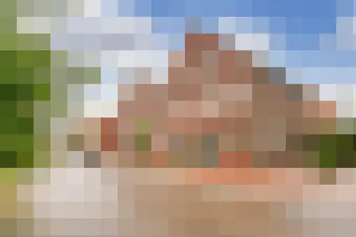 Baak van Zierikzee 48 Amersfoort thumbnail 37
