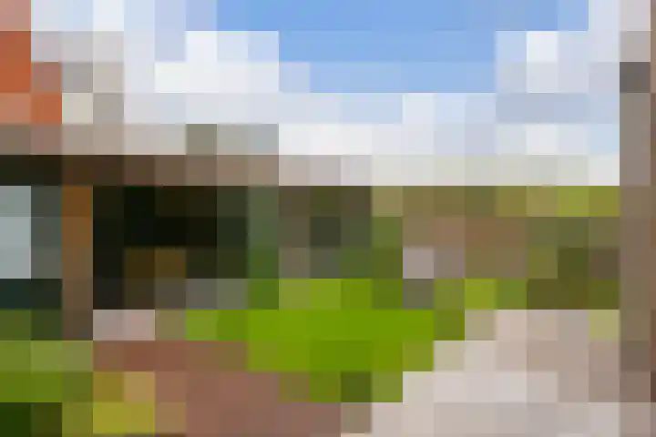 Baak van Zierikzee 48 Amersfoort thumbnail 4
