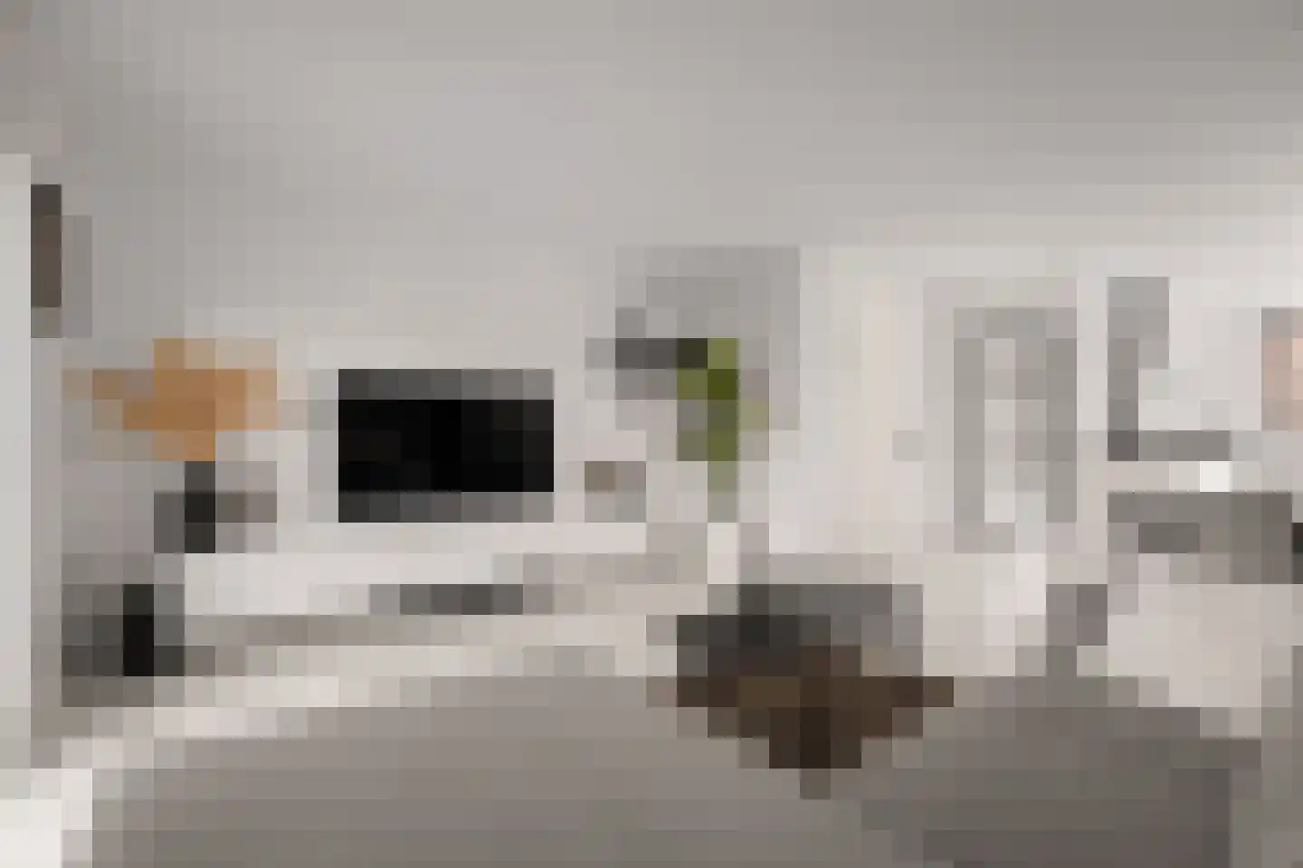 Baak van Zierikzee 50 Amersfoort thumbnail 10