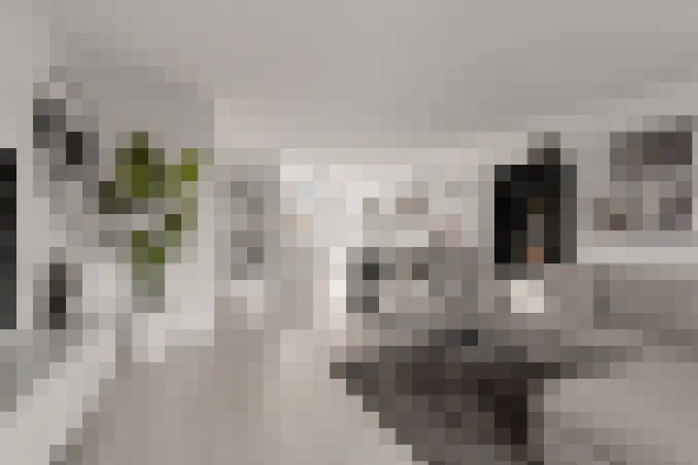 Baak van Zierikzee 50 Amersfoort thumbnail 12