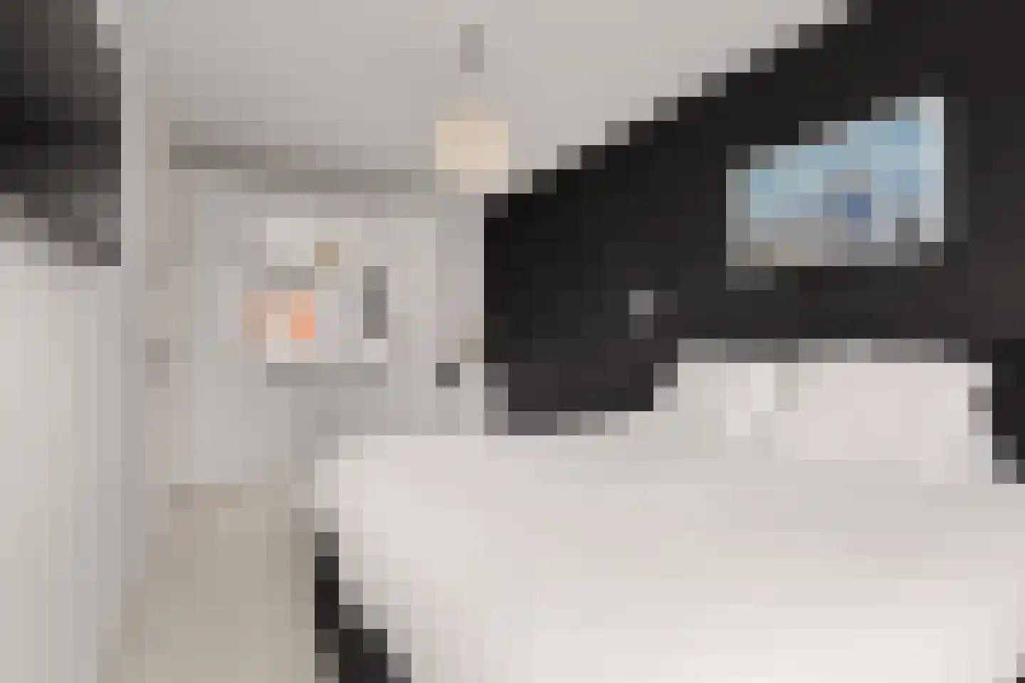 Baak van Zierikzee 50 Amersfoort thumbnail 23