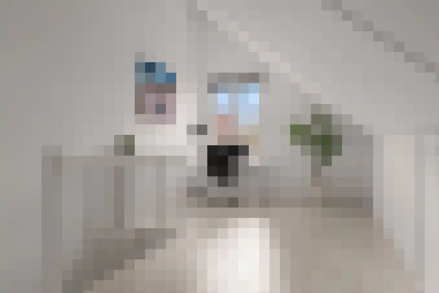 Baak van Zierikzee 50 Amersfoort thumbnail 33