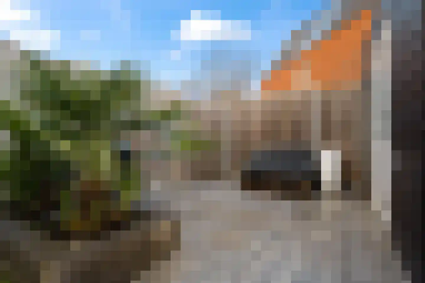 Baak van Zierikzee 50 Amersfoort thumbnail 38