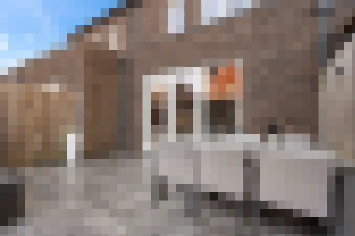 Baak van Zierikzee 50 Amersfoort thumbnail 41