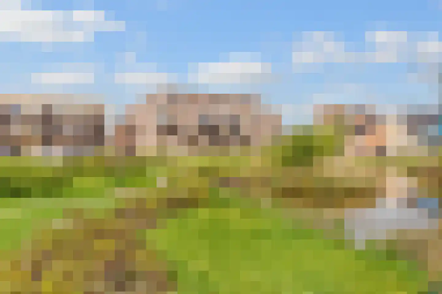 Baak van Zierikzee 50 Amersfoort thumbnail 43