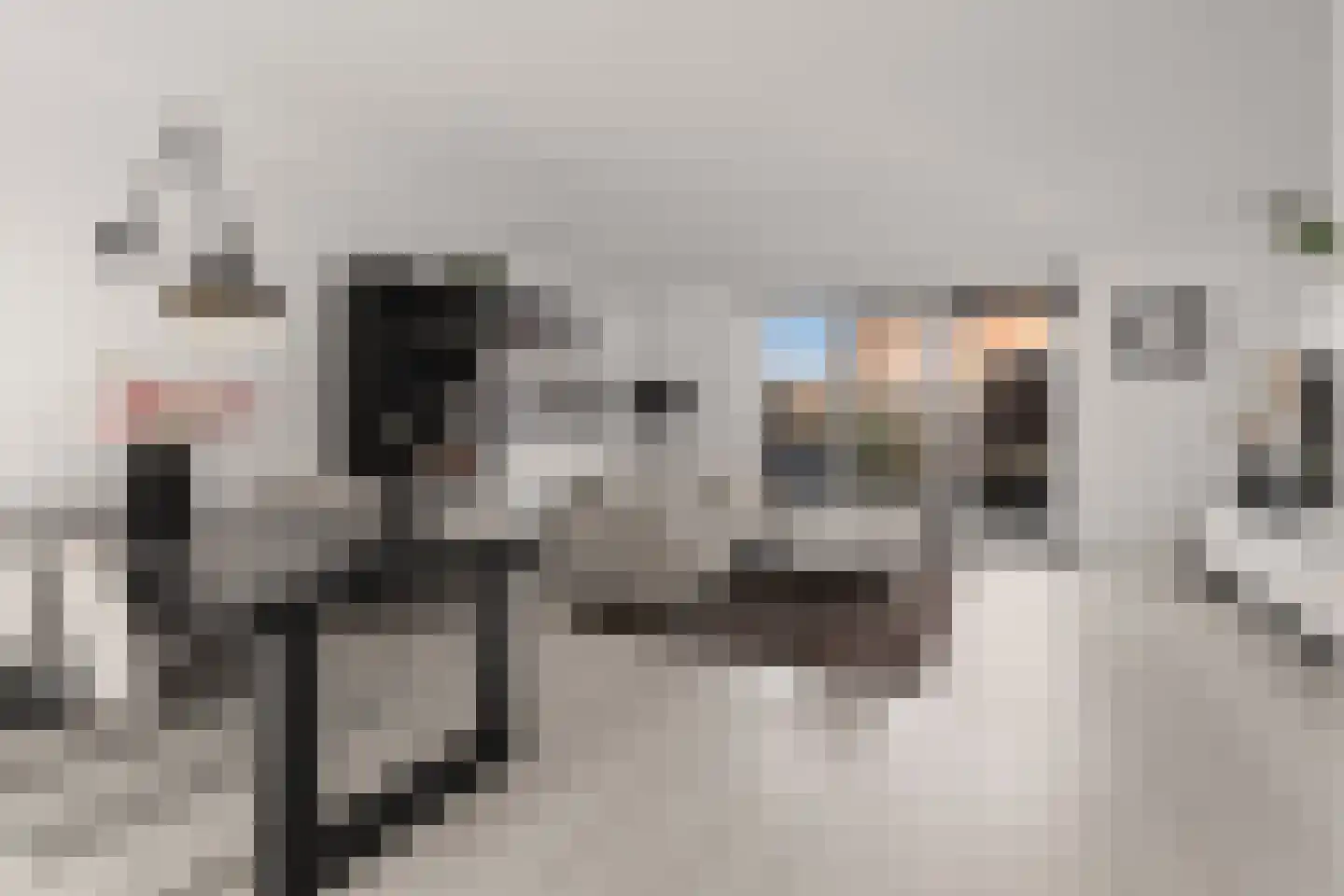 Baak van Zierikzee 50 Amersfoort thumbnail 8
